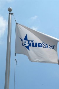 BlueStar Global - RFID Distributor BlueStar Global - RFID Distributor