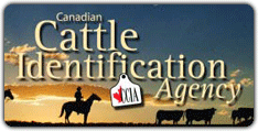 Canadian Cattle Identification Agency (CCIA) tag Canadian Cattle Identification Agency (CCIA) tag