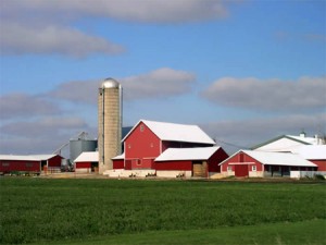 Canadian Farms Canadian Farms